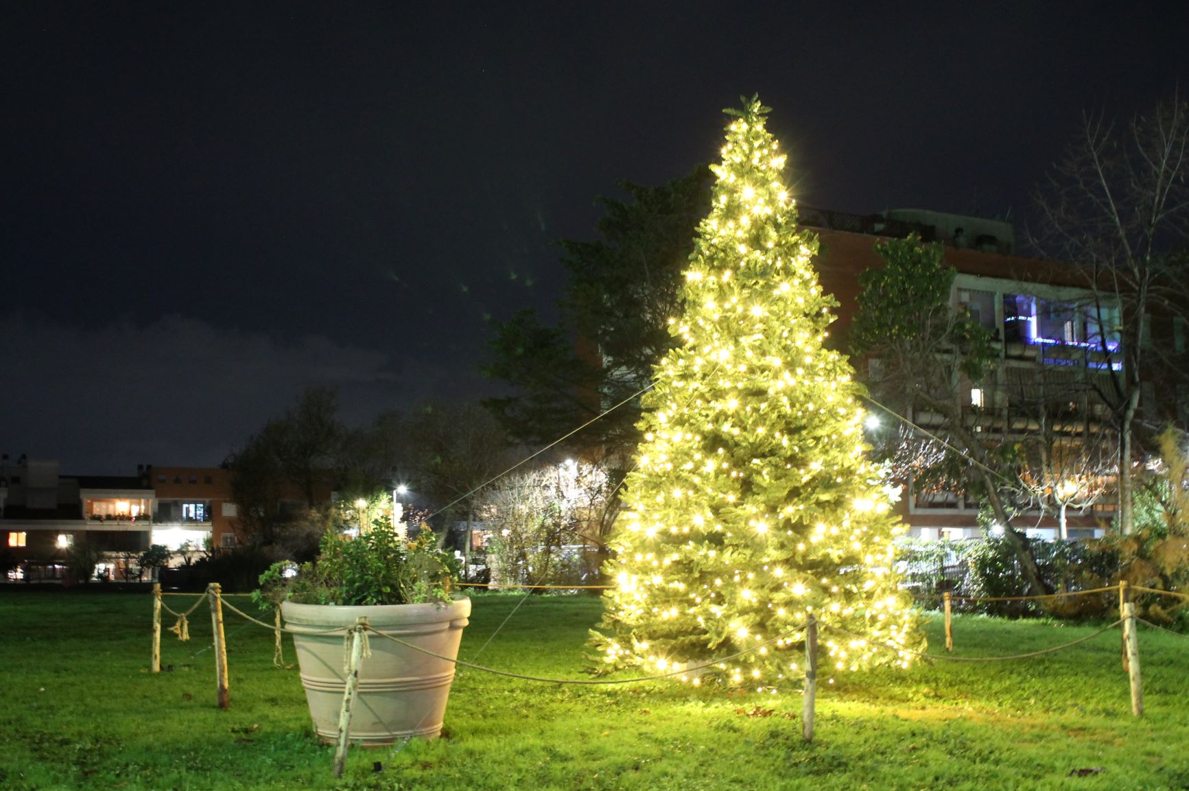 Un magnifico albero di Natale … tanti auguri dal Comitato di Quartiere !